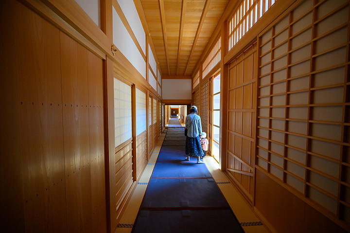 Z6II鏡頭蓋遊名古屋&京都[Z 14-30mm f/4 S]