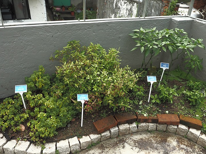 北投 中心新村與舊雙溪河步道 — 全臺唯一溫泉軍醫系統眷村，附掛市區內大片青翠稻田