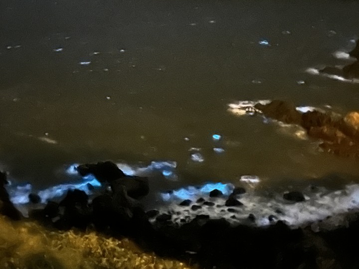 最美國之北疆-東引島(尋找藍眼淚)下集