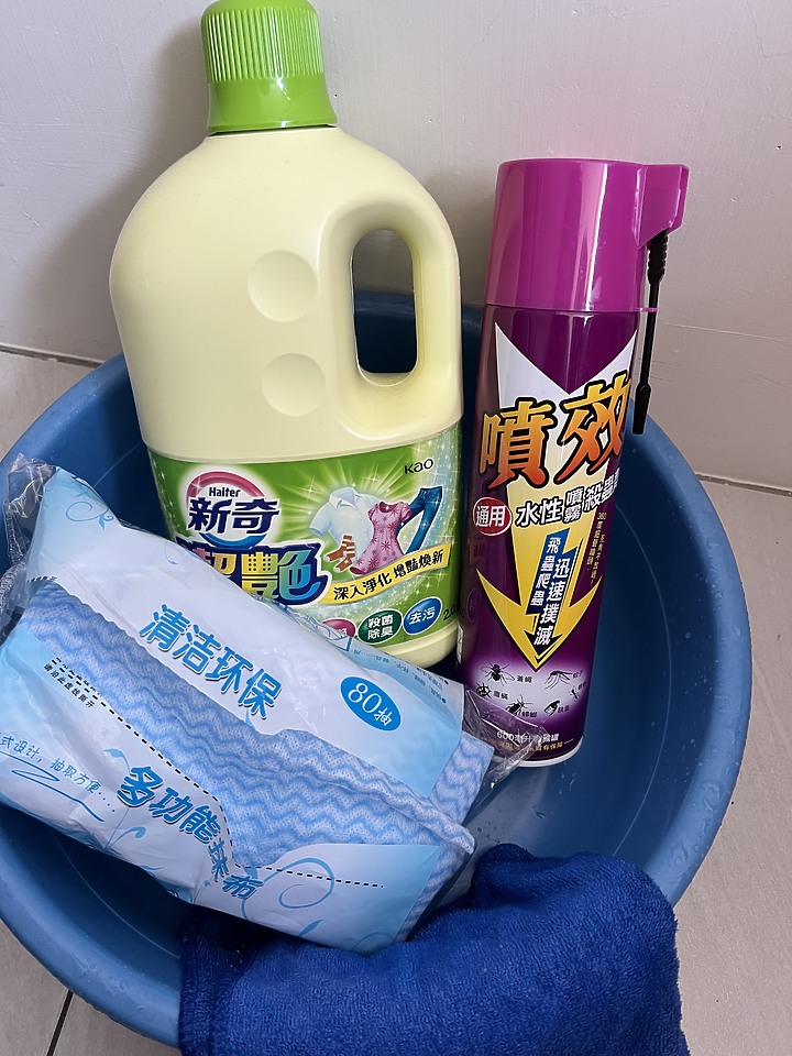 夏天蛾蚋、德國蟑螂狂飛超擾人