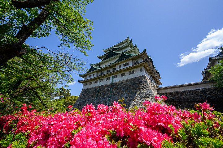 Z6II鏡頭蓋遊名古屋&京都[Z 14-30mm f/4 S]