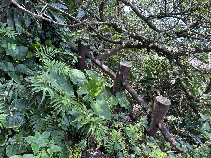 沒有雨的基隆(嶼)登島健行記