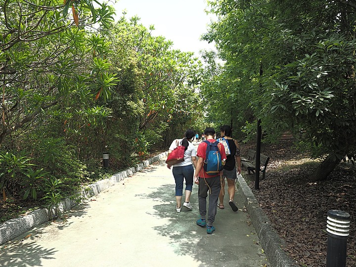 北投 中心新村與舊雙溪河步道 — 全臺唯一溫泉軍醫系統眷村，附掛市區內大片青翠稻田