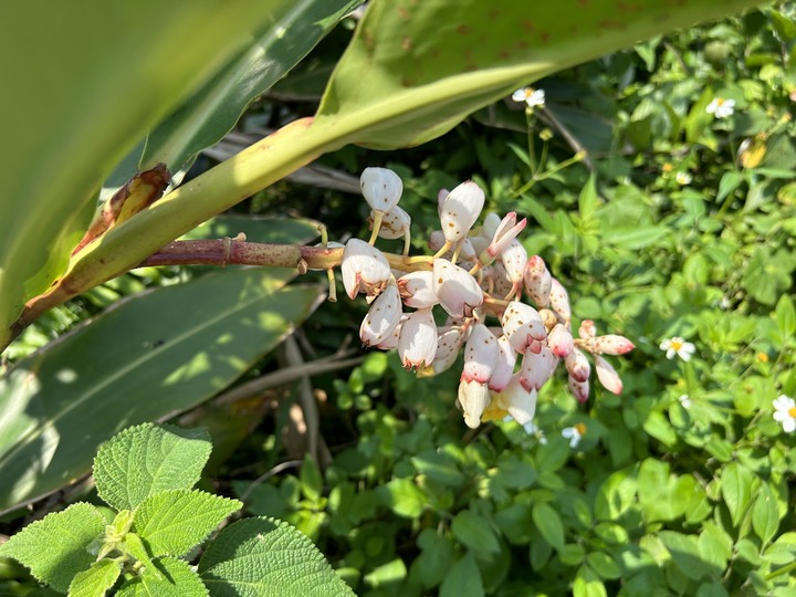 沒有雨的基隆(嶼)登島健行記