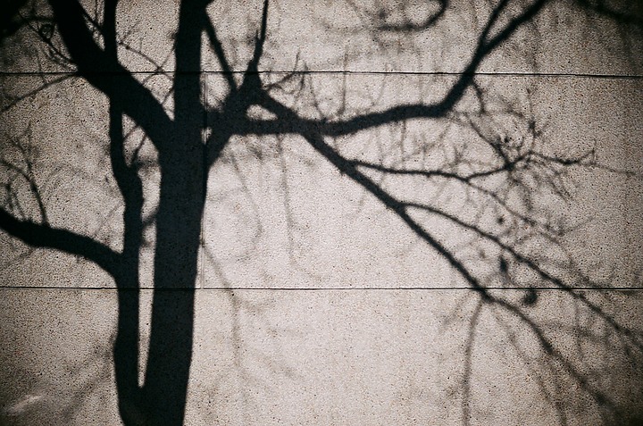 『分享』2023年我入了底片坑！！ 旁軸測距相機的原點 LEICA M3