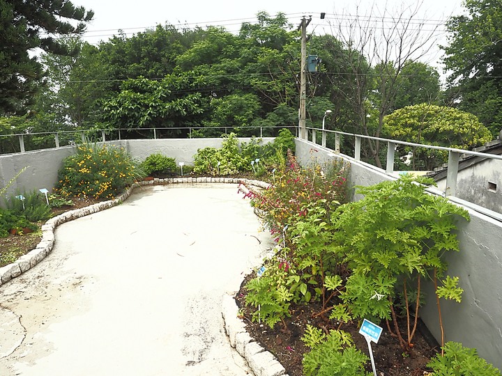 北投 中心新村與舊雙溪河步道 — 全臺唯一溫泉軍醫系統眷村，附掛市區內大片青翠稻田