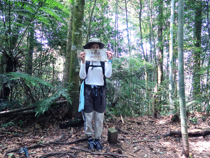 點我看大圖 【水社大山】日月潭最高峰 | 一座挑戰腿力的好山 | 硬到被小百岳除名