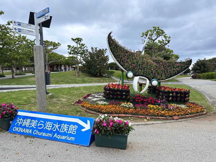 日本沖繩自由行分享(文長圖多)