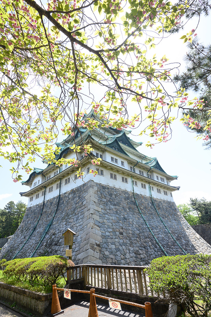 Z6II鏡頭蓋遊名古屋&京都[Z 14-30mm f/4 S]
