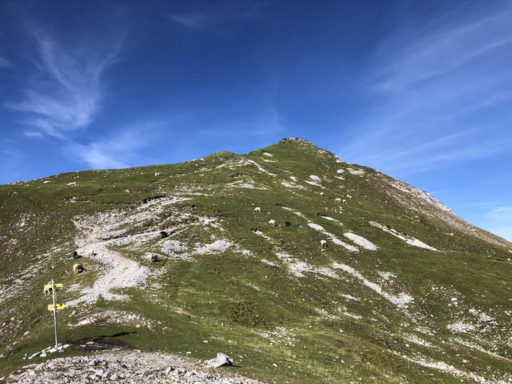 「瑜伽越野跑」奧地利 🇦🇹 Innsbruck ／Salzburg
