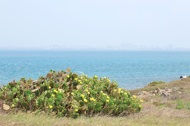 點我看大圖 (映像旅行) 徜徉浪漫花火、享受湛藍菊島in澎湖(第1集) feat. Kia EV6 Air增程版