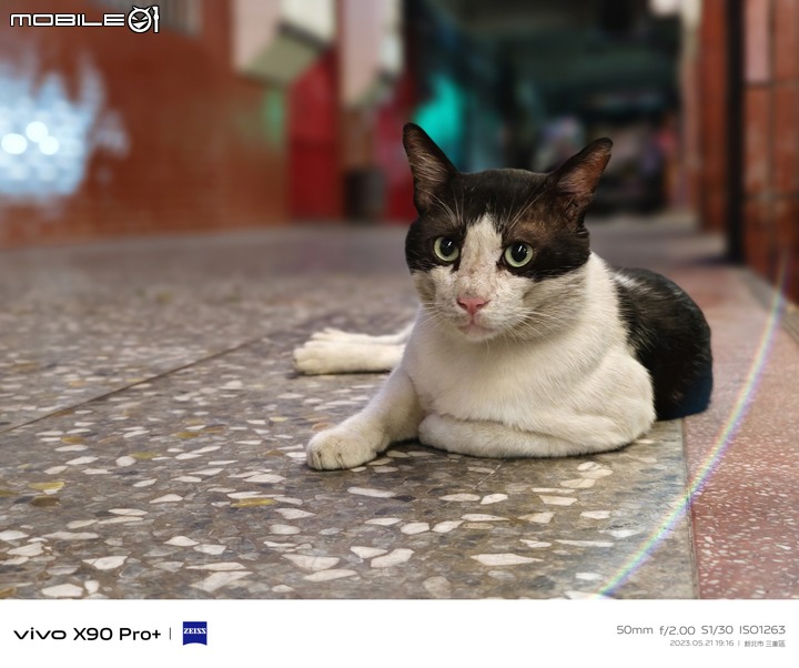 vivo X90Pro+ 入手三個月心得(多圖)