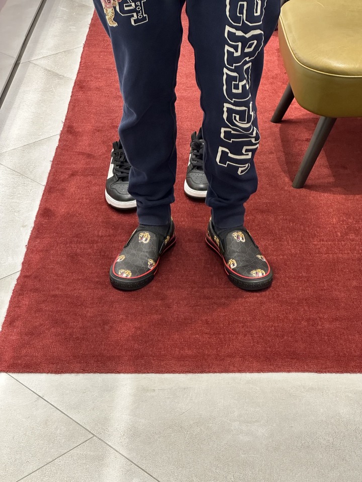 「開箱」GUCCI TIGER sneakers