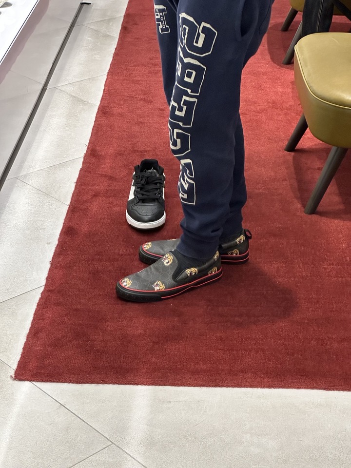 「開箱」GUCCI TIGER sneakers