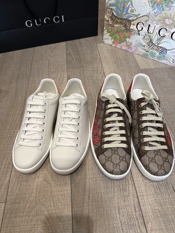 「開箱」GUCCI TIGER sneakers