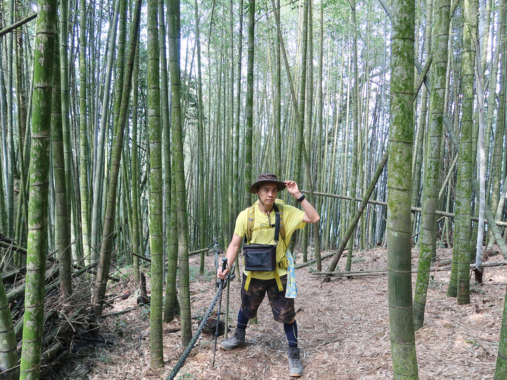 點我看大圖 【水社大山】日月潭最高峰 | 一座挑戰腿力的好山 | 硬到被小百岳除名