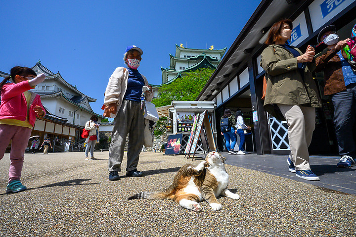 Z6II鏡頭蓋遊名古屋&京都[Z 14-30mm f/4 S]