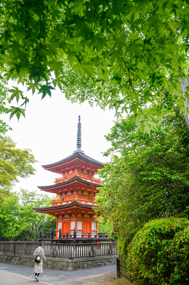 Z6II鏡頭蓋遊名古屋&京都[Z 14-30mm f/4 S]