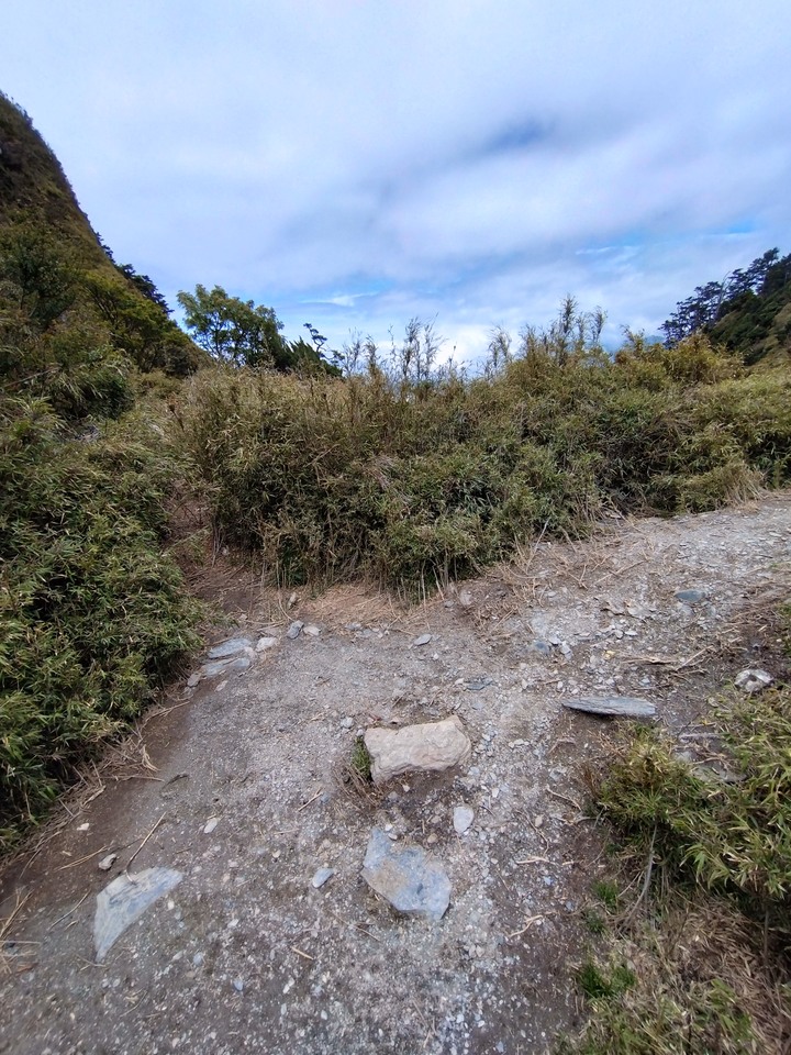 [問路]關山嶺山途中的叉路通哪？