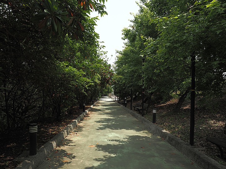 北投 中心新村與舊雙溪河步道 — 全臺唯一溫泉軍醫系統眷村，附掛市區內大片青翠稻田
