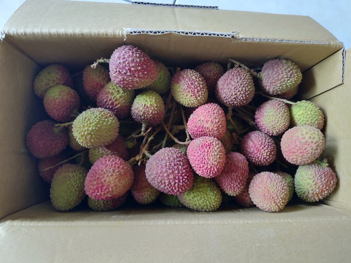 好想吃荔枝