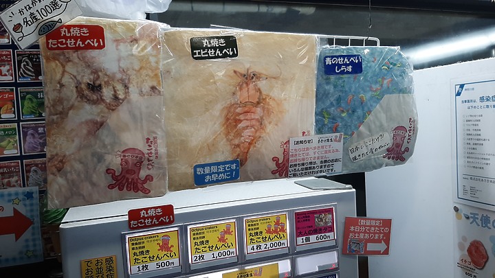 2023 日本東京 8天7夜 (2023/4/23 ~ 4/30) 4/25 第三天 鐮倉江之電車+鐮倉大佛+灌籃高手平交道