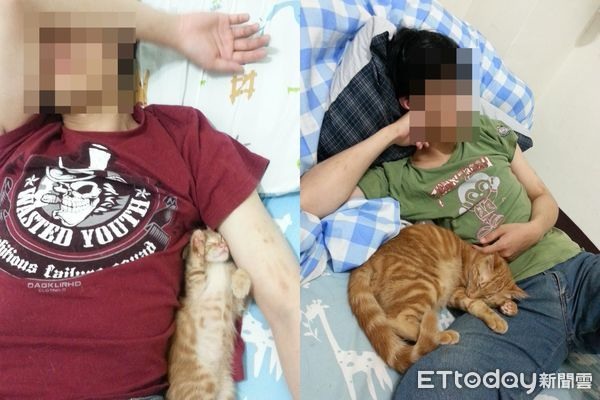 吼半天找不到貓抬頭見「不屑凝視目光」氣炸奴才：一直看我耍笨