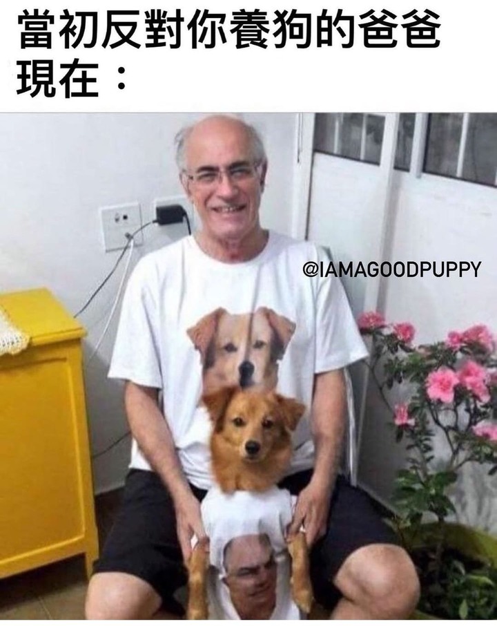 當初反對養寵物的家人