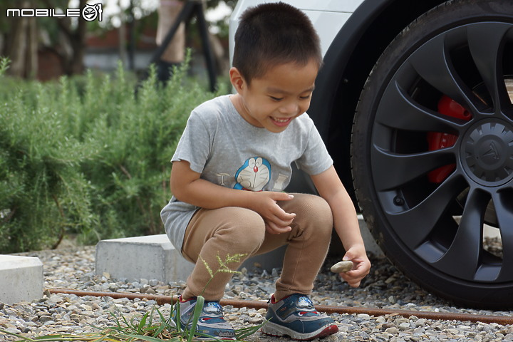 純粹分享 / Model Y / 影像記錄 (純影像)