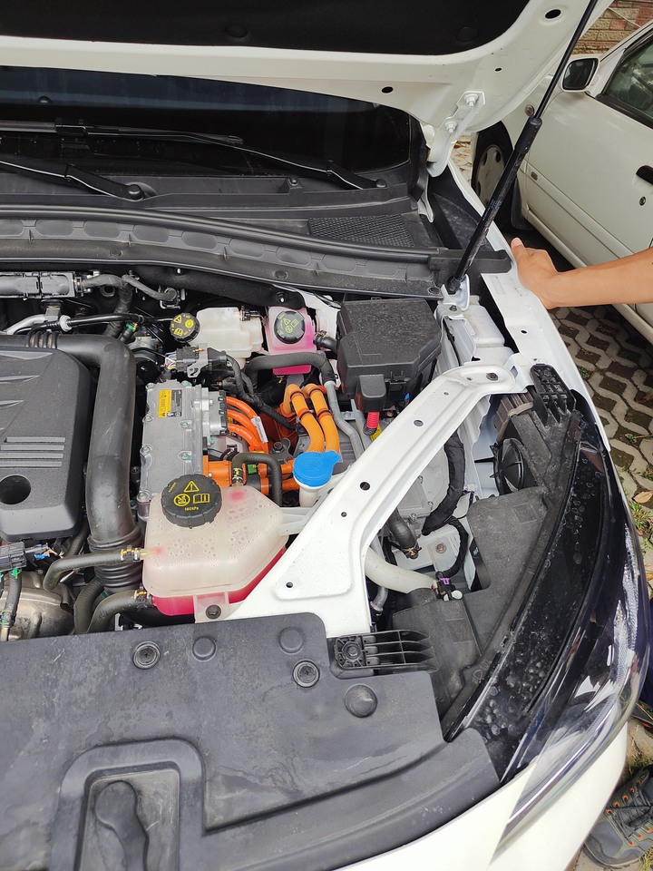 MG Phev 選我就對了
