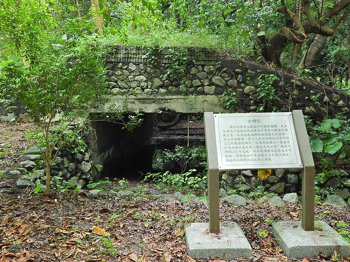 點我看大圖 Nikon P1000從德文部落觀景台拍向佳暮部落,及新埤建功生態步道和大葉欖仁綠色隧道。