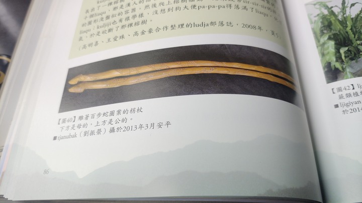 2023 年環島第十六圈－－莎莉木可的拐杖（9F CBR150R 消耗品維修記錄）