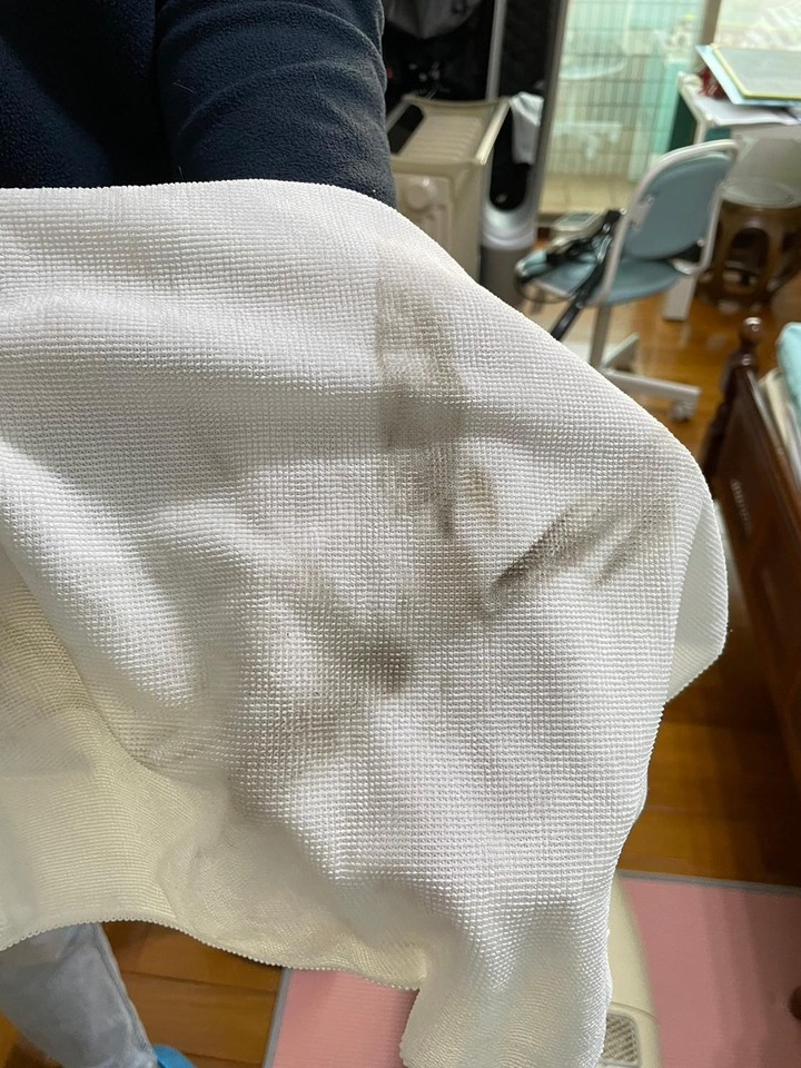 神奇的除過敏原服務