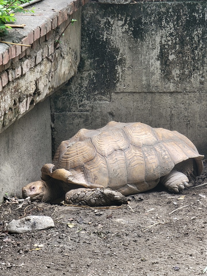 ~工作就是為了享受生活,別讓自己被生活壓跨了~東港美食之旅