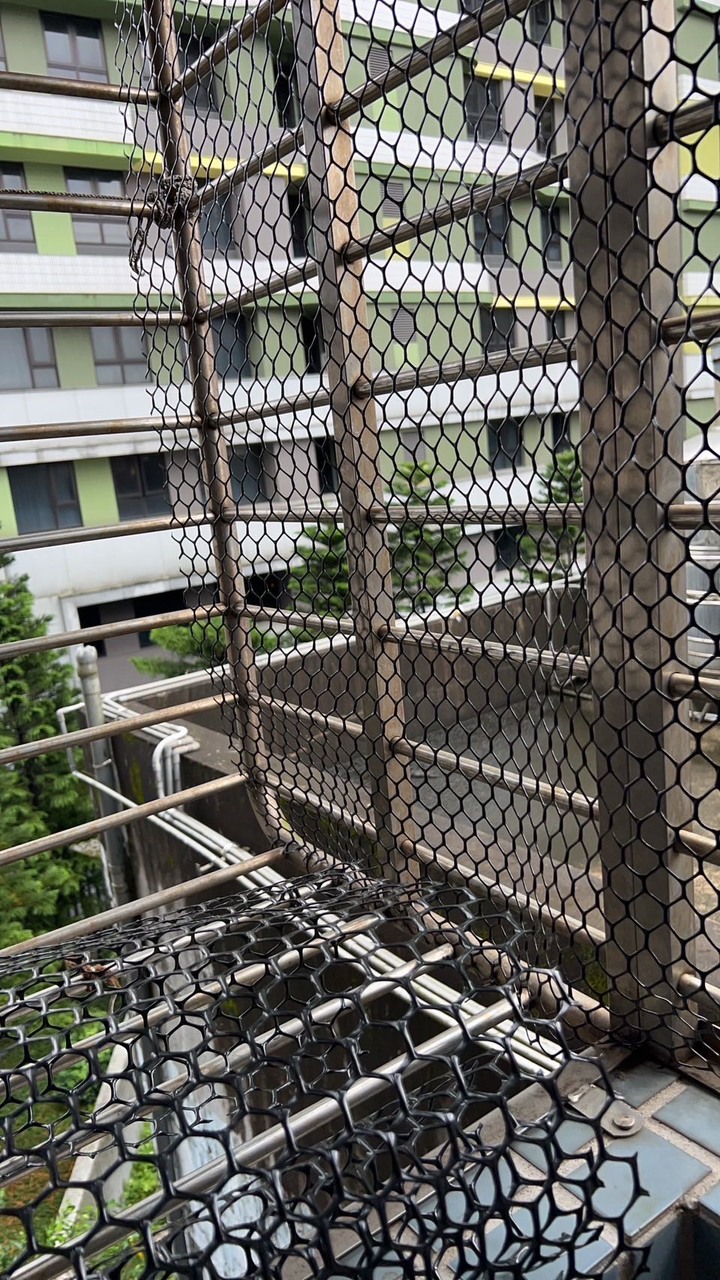 分享～貓貓的私人後陽台小空間改造