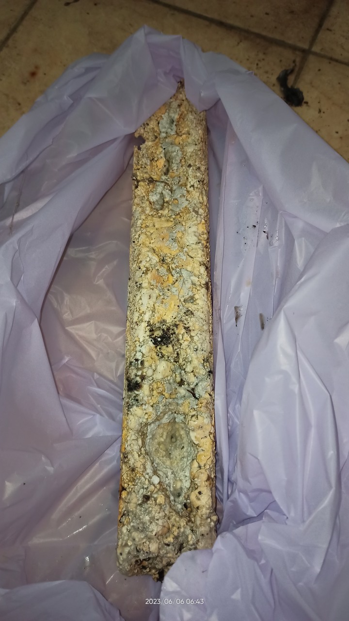 透天2F雨水倒灌阻塞修繕分享
