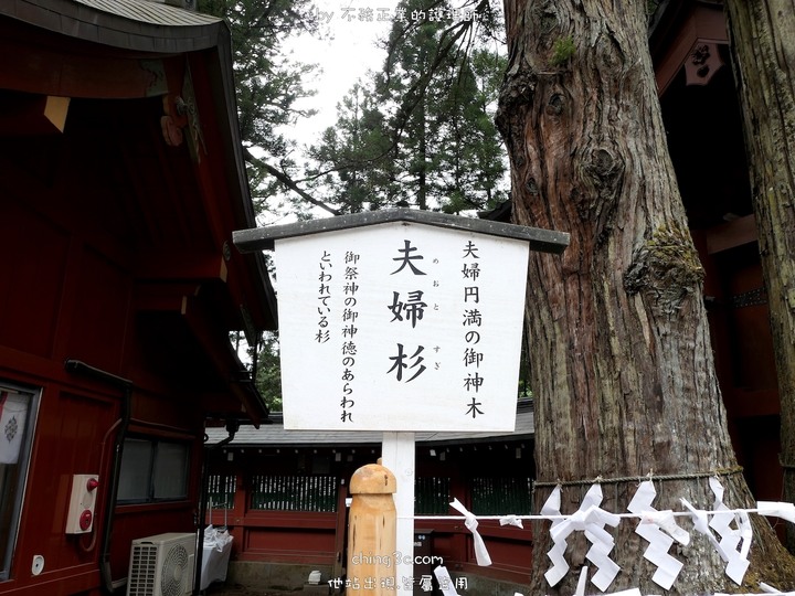 [不務正業護理師趴趴走]栃木縣日光-日光布丁亭/西參道茶屋/二荒山神社/東照宮/山輪王寺/