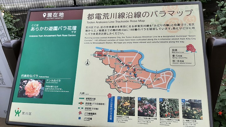 2023 日本東京 8天7夜 (2023/4/23 ~ 4/30) 4/24 第二天 都電荒川電車線+巢鴨商店街+鬼子母神堂+早稻田大學