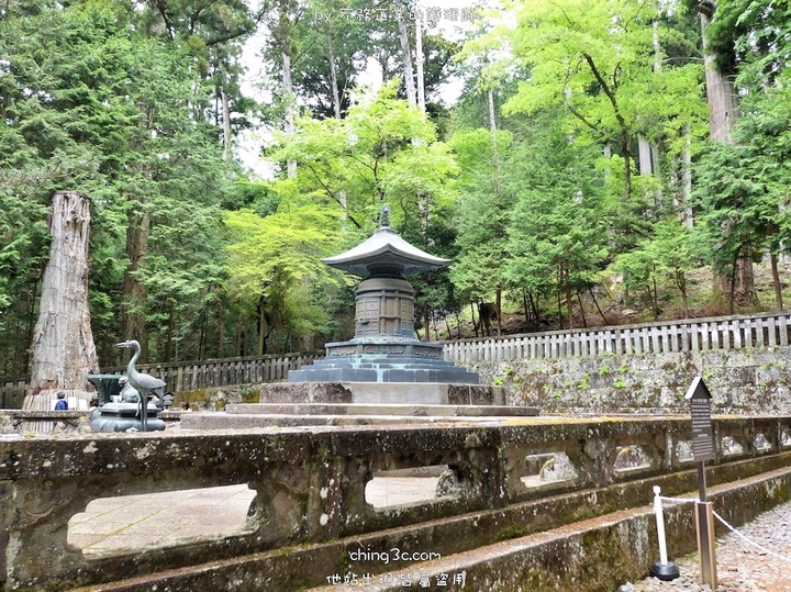 [不務正業護理師趴趴走]栃木縣日光-日光布丁亭/西參道茶屋/二荒山神社/東照宮/山輪王寺/