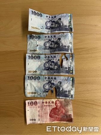 洗抹布轉頭撞見柴柴啃「藍色漢堡」媽崩潰：專挑大張的咬