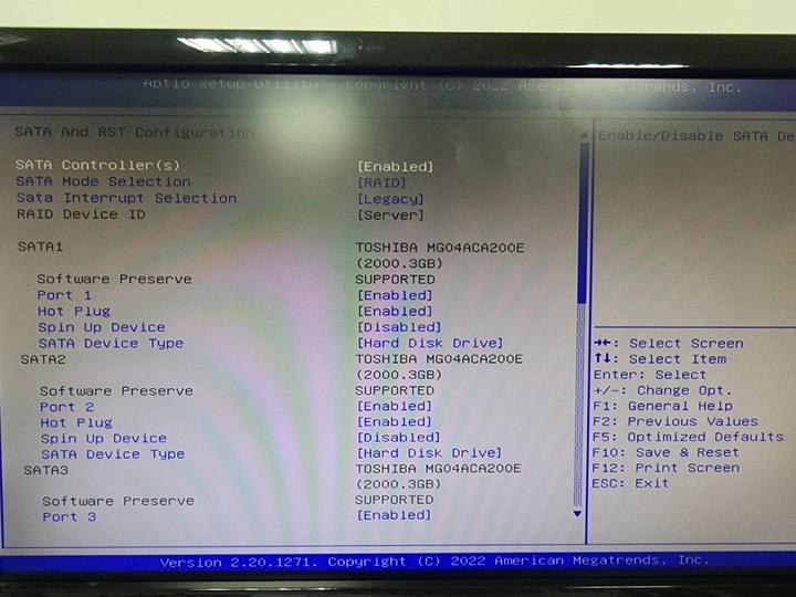 TS300-E10-PS4超過2TB安裝RAID