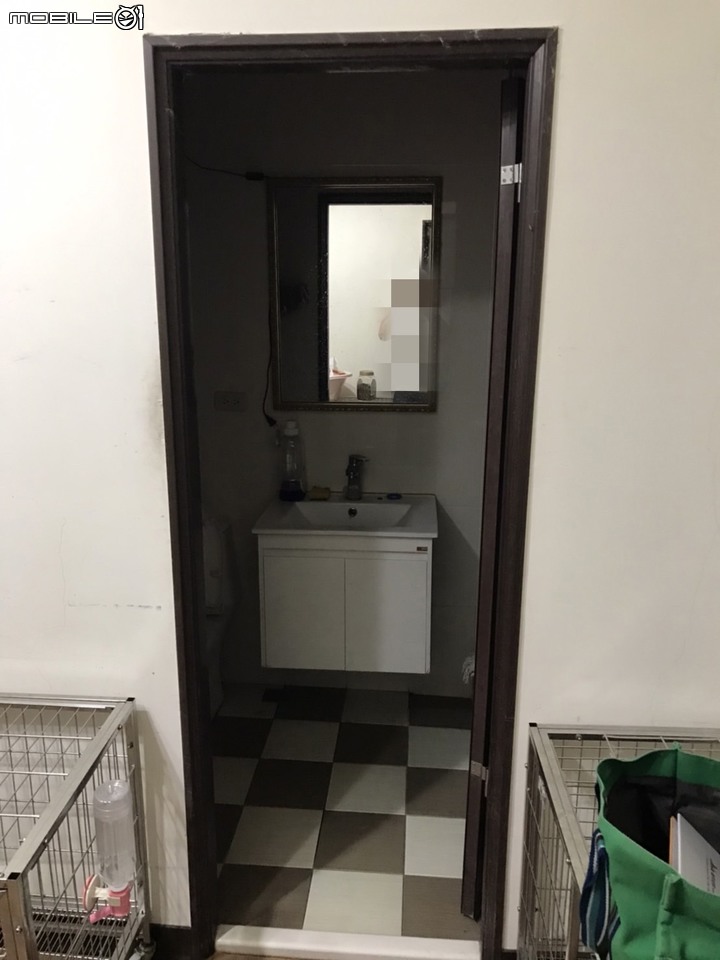 【開箱】打造鸚鵡和狗狗隔音房 讓鄰居可以好好睡覺 高雄透天篇