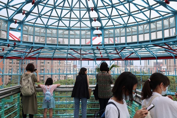 台中熱帶雨林溫室平臺重啟!八層樓鳥瞰植物園 三大看點必去
