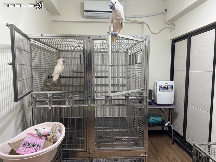 【開箱】打造鸚鵡和狗狗隔音房 讓鄰居可以好好睡覺 高雄透天篇