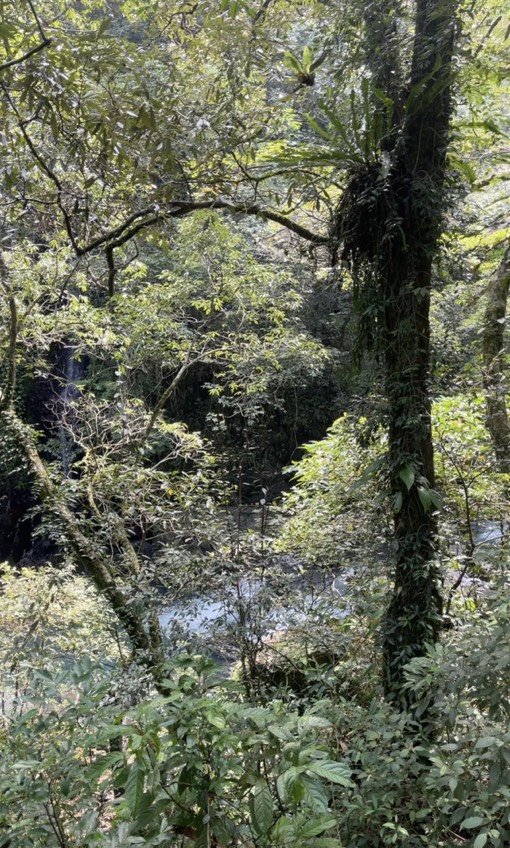 週末踏青好夥伴 - 帶著ZEISS蔡司望遠鏡去三峽滿月圓