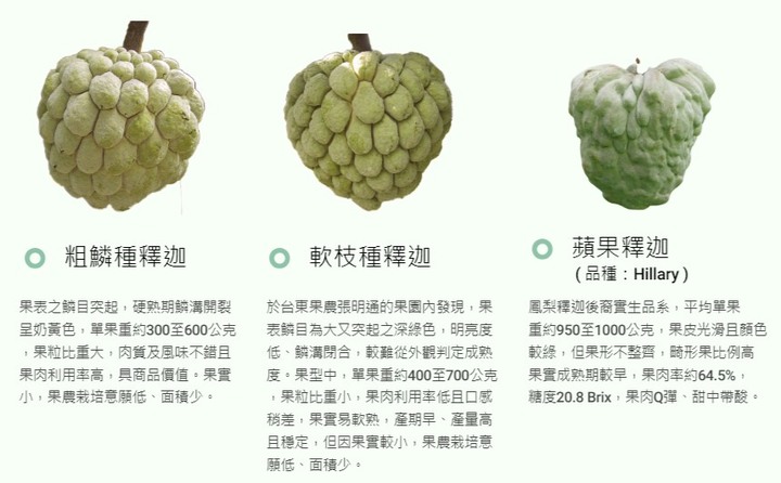 本人吃了這麼久釋迦,但是味道和販售方式一點都沒改進! (第3頁) - Mobile01