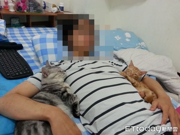 吼半天找不到貓抬頭見「不屑凝視目光」氣炸奴才：一直看我耍笨