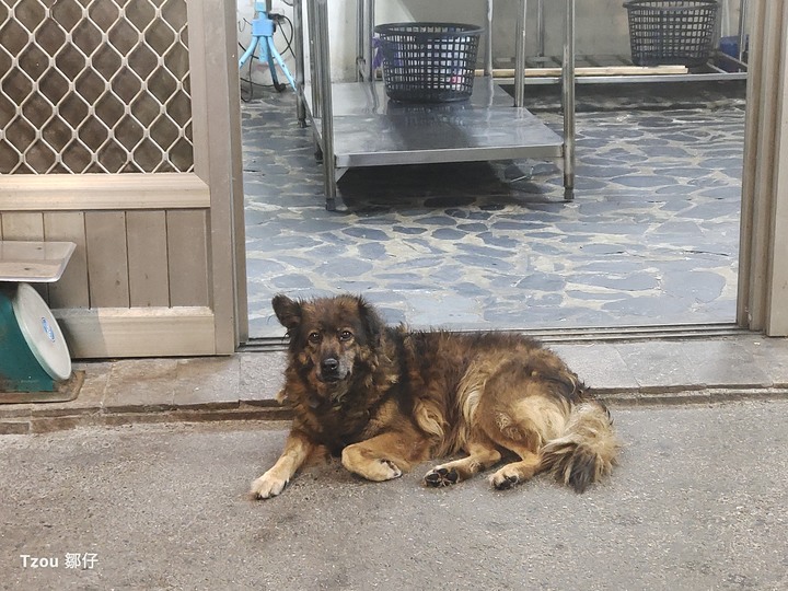 2023 年環島第十六圈－－莎莉木可的拐杖（9F CBR150R 消耗品維修記錄）