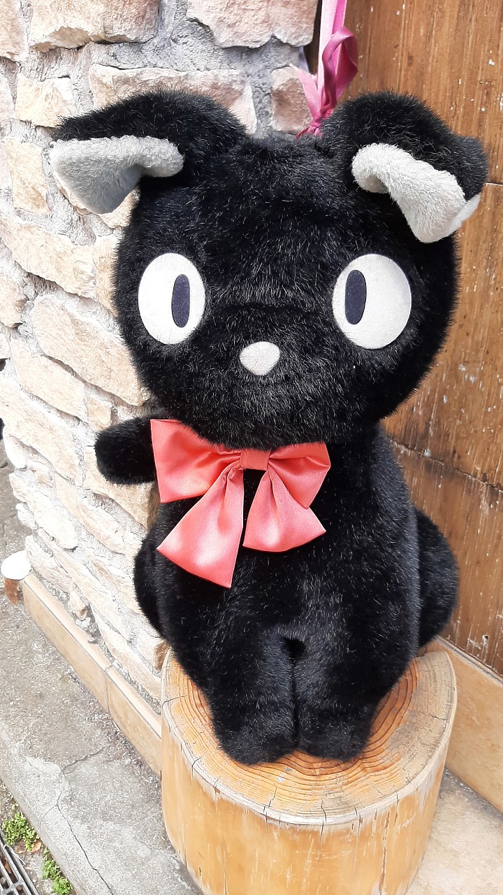 2023 日本東京 8天7夜 (2023/4/23 ~ 4/30) 4/25 第三天 鐮倉江之電車+鐮倉大佛+灌籃高手平交道