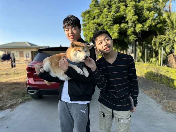 MG開了二萬公里,柴柴成了最大受害者?🐶🐶